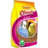 Avicentra Classic menu, andulka, 1 kg