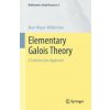 Elementary Galois Theory