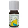 Hanus Čajovníková silica 10 ml