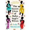 Secret Lives of Baba Segi's Wives (Lola Shoneyin)(Brožovaná)