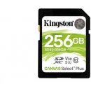 Kingston UHS-I 256GB SDS2/256GB
