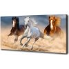 Foto obraz na plátne Kone na púšti 100x50 cm