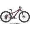 Scott Contessa Disc 2022