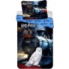 Jerry Fabrics Harry Potter HP111 bavlna 140x200 70x90