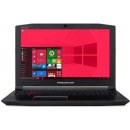 Acer Predator Helios 300 NH.Q2BEC.001