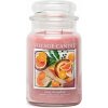 Village Candle Zesty Grapefruit 602 g
