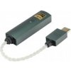 iFi audio Go link MAX