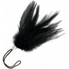 Darkness Black Feather