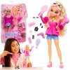 Mattel Barbie Dream Besties Malibu HYC21