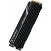 Transcend 250H 1TB, TS1TMTE250H