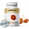 MycoMedica, AGARICUS medicinálna huba, 90 kapsúl (Medicinálna huba)