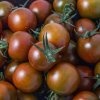 BIO Paradajka čierna Cherry - Solanum lycopersicum - bio semená - 6 ks