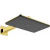 Hansgrohe Raindance Alive Q - Hlavová sprcha, 21x34 cm, 2 prúdy, EcoSmart, leštený vzhľad zlata 24551990