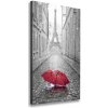 Vertikálny foto obraz na plátne Dáždnik Francúzsko 50x100 cm