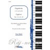 ŽIDEK, Peter: Capriccia č. 5, 6, 8, 10 / priečna flauta + klavír