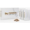 Primulus Group FEMINUS 60 tabliet