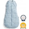 Ergopouch Zavinovačka a vak na spanie 2v1 Cocoon Dragonflies