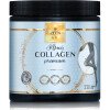 Zeen by Roal kĺbový Kolagén premium 230 g