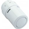 Danfoss RAX 013G6075
