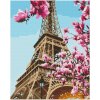 Maľovanie podľa čísel EIFFEL TOWER, na ráme, 40x50cm, 801022902