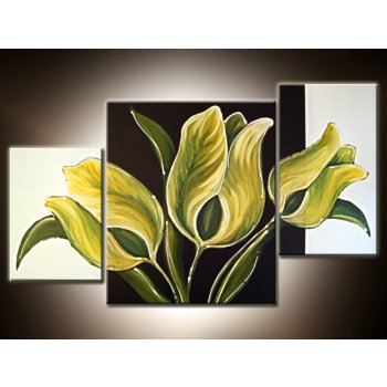 Ručne maľované obrazy - obraz kvety 120x70cm od 69,9 € - Heureka.sk
