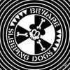 Beware (Sleeping Dogs) (Vinyl / 12