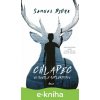E-kniha Chlapec vo svetle reflektorov - Samuel Bjork