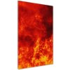 Vertikálny foto obraz sklenený Plameny 50x100 cm