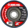 Lamelový brúsny kotúč 125mm P120/INOX 61230