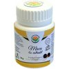 Salvia Paradise Maka 4:1 extrakt 20 g