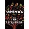 Věštba - Chloe Benjaminová