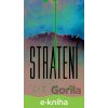 E-kniha Stratení - Liz Moore
