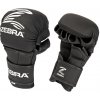 Zebra MMA SPARRING