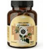 Ashwagandha Cejlón Inca Botanica – Stres, Spánok a Energia (Kapsuly/Prášok)