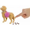 Mattel Barbie bábika so psíkom na prechádzke