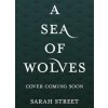 UNTITLED SARAH STREET ()