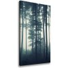 Vertikálny foto obraz canvas Hmla v lese 50x100 cm