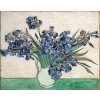 Ryžový papier Irises in white Rozmer: A1