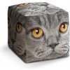 Sablio Taburet Mačací pohľad: 40x40x40 cm