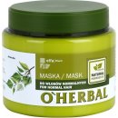 O'Herbal Betula Alba maska pre normálne vlasy (Healthy-Looking Hair) 500 ml