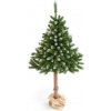 Konrad Limpol Smrek na kmeni 2,10 m