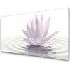 Obraz na skle Kvet voda umenie 100x50 cm