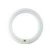 Philips žiarivka TL-E 32W/840 kruhová T8 G10q 928026384070 + (RP6)
