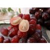Vinič Red Shine Muscat bezsemenná vrúbľovaná sadenica. NEW.