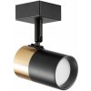 Zuma Line Fori stropné svietidlo 1x50 W čierna-zlatá OB-2204BD-1-BK