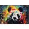 wash+dry Interiérová rohožka Pandy McPanda 50x75 cm Rozmer: 50x75 cm