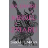 Na dvore z krídel a zmaru - Sarah J. Maas