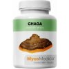 MycoMedica Chaga 90 kapsúl x 500 mg