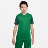 Nike Trophy V JSY Jr DR0942-302