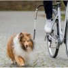 Trixie dog vodiace set na bicykel 2,5cm/1-2m